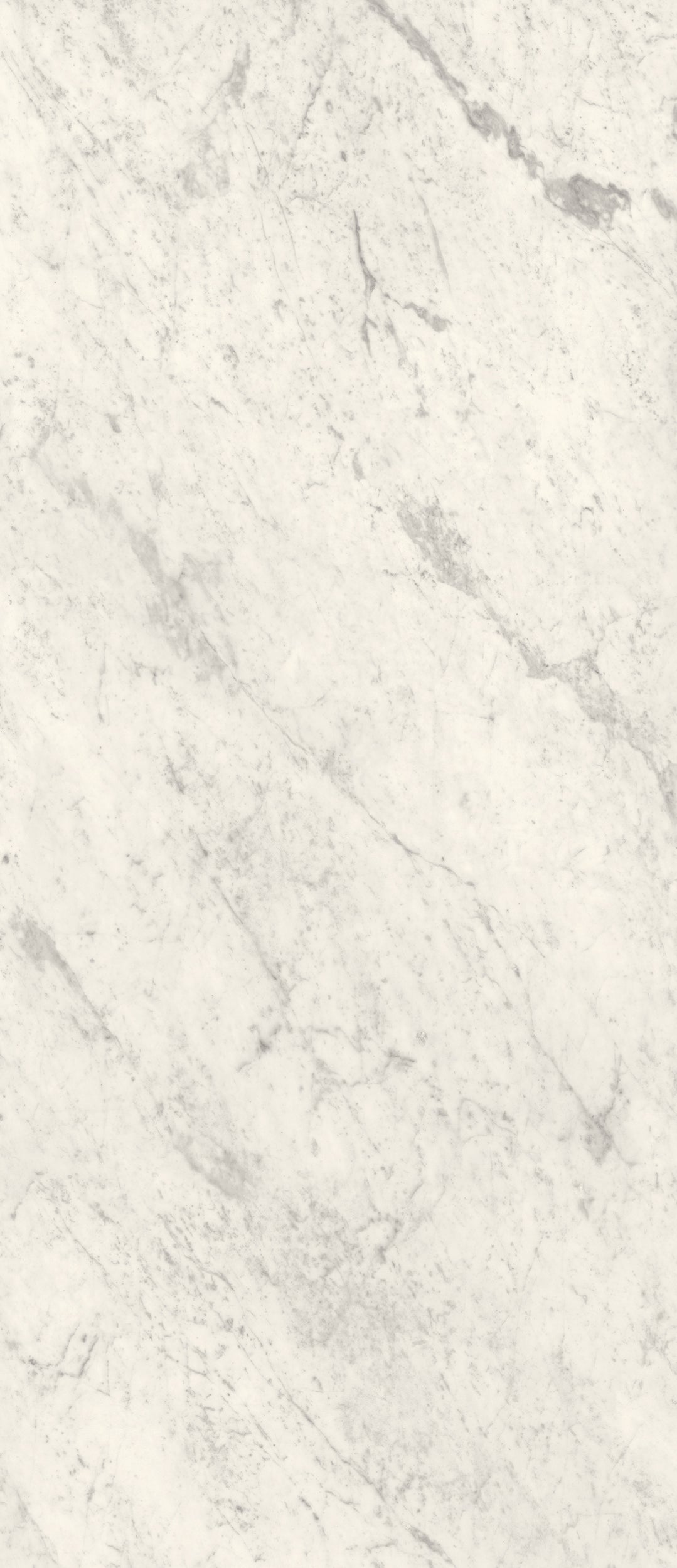 Carrara White