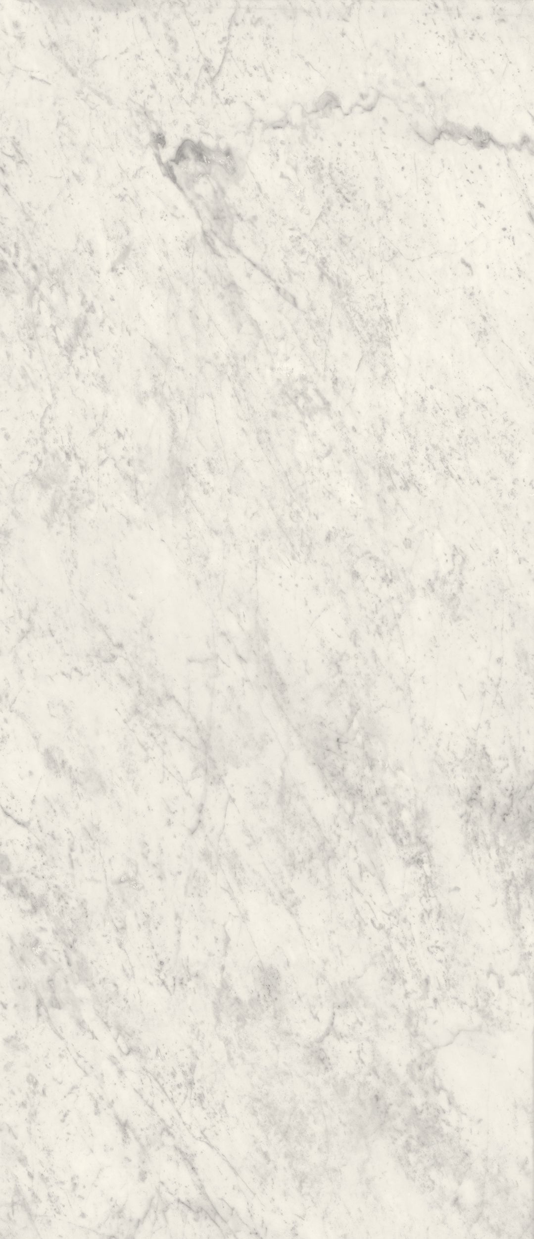 Carrara White